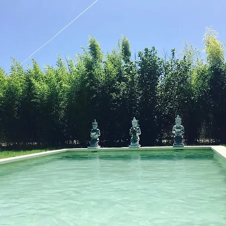 L'islo Bamboo *